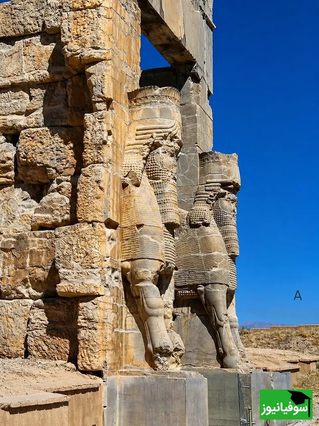 تخت جمشید 