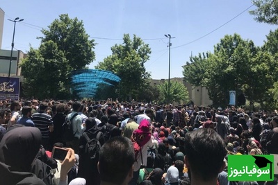 شوک معاون دانشگاه تهران به دانشجویان معترض: اگر تجمع به خشونت بکشد، از دانشجو حمایت نمی‌کنیم