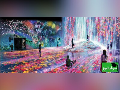 ویدیو/ ورود بدون کفش به موزه و نمایشگاه رویایی در توکیو ژاپن/ تجربۀ بی‌نظیر لمس طبیعت و پرواز پرندۀ تخیلات دوران کودکی