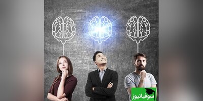 3 تفاوت در تصویر این دو سگ وجود دارد/ آیا می‌توانید در 10 ثانیه آن‌ها را تشخیص دهید؟