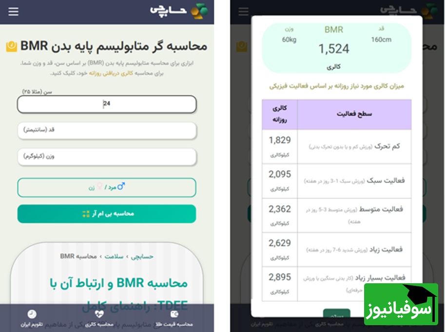 نرخ متابولیسم پایه (BMR) چیست
