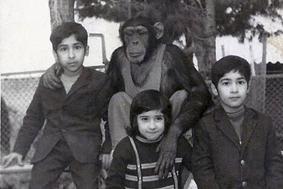 نگاهی به آموزش در گذشته؛ دارالتأدیب و مدرسه ادب تهران در قاب تصاویر