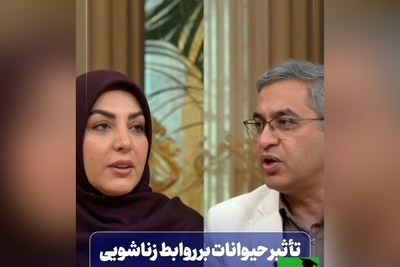 قبل از فروپاشی زندگی مشترک‌تان، این نشانه خطرناک را بشناسید / حقیقت تلخ درباره حیوانات خانگی و طلاق + فیلم