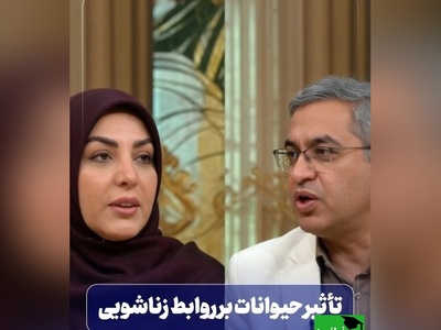قبل از فروپاشی زندگی مشترک‌تان، این نشانه خطرناک را بشناسید / حقیقت تلخ درباره حیوانات خانگی و طلاق + فیلم