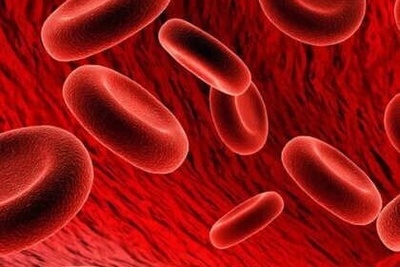 (ویدیو) با شناخت گروه خون خود، گام اول برای پیشگیری از بیماری‌ها را بردارید