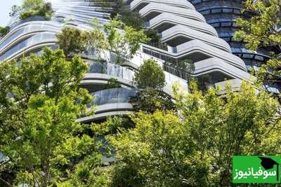 (تصاویر) تلفیق طبیعت و فناوری/ برج الهام‌گرفته از DNA در تایوان علیه آلودگی، زلزله و سیل می‌جنگد