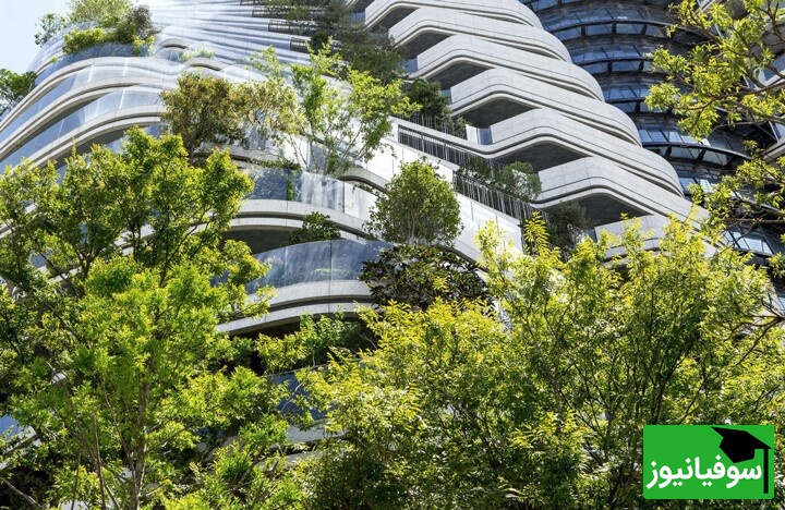 (تصاویر) تلفیق طبیعت و فناوری/ برج الهام‌گرفته از DNA در تایوان علیه آلودگی، زلزله و سیل می‌جنگد