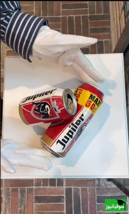 حادثه‌ای باورنکردنی در موزهٔ هلند/ انتقال اشتباهی یک اثر تاریخی به زباله‌دان!