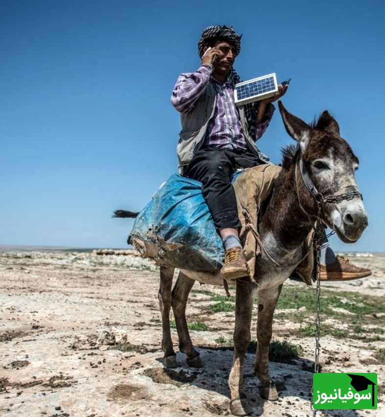 زنگ خلاقیت: ابتکار و نوآوری  تحسین‌برانگیز و خنده‌دار چوپان ایرانی برای تامین برق مصرفی با استفاده از اُلاغ حماسه‌ ساز شد/ بفرما تکنولوژی وطنی