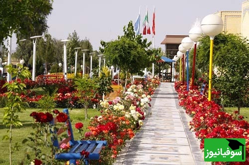 دانشگاه سیستان و بلوچستان