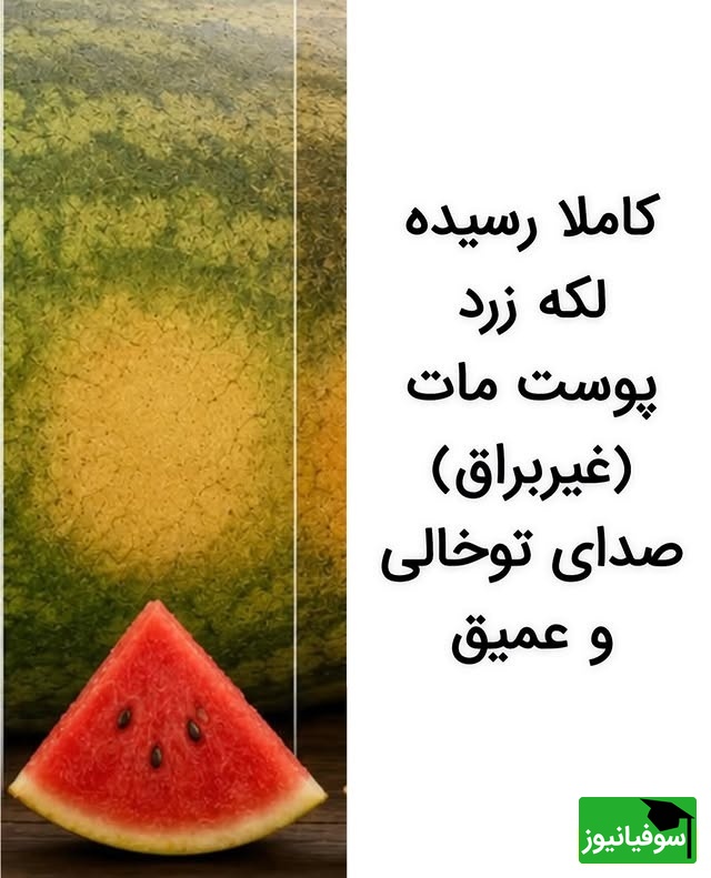 تشخیص هندوانه با رنگ