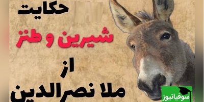 لطیفه های قدیمی و شیرین/ داستان کوتاه ولی خنده دار ملانصرالدین و صدتا خر 🤣