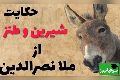 لطیفه های قدیمی و شیرین/ داستان کوتاه ولی خنده دار ملانصرالدین و صدتا خر 🤣