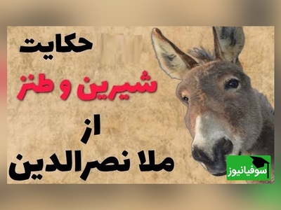 لطیفه های قدیمی و شیرین/ داستان کوتاه ولی خنده دار ملانصرالدین و صدتا خر 🤣