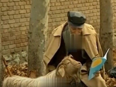 ویدیو/ طغرل سریال پاورچین در حال تدریس زبان انگلیسی به گوسفندی که قراره عید‌قربان بره اونور آب