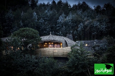 7 خانه شگفت‌انگیز نیاوران که نفستو می‌بره / شاهکارهای هنری واقعی فقط همینه 😍