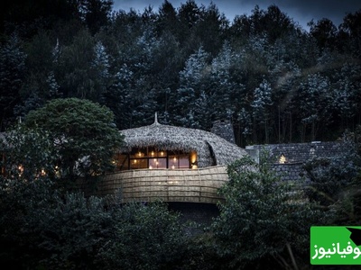 7 خانه شگفت‌انگیز نیاوران که نفستو می‌بره / شاهکارهای هنری واقعی فقط همینه 😍