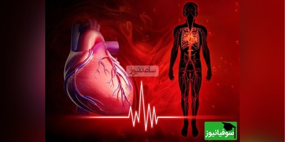 نوار قلب بدون استفاده از دستگاه الکتروگاردیو گرافی/ اثری هنری از شگفتی های علم و هنر! +ویدیو