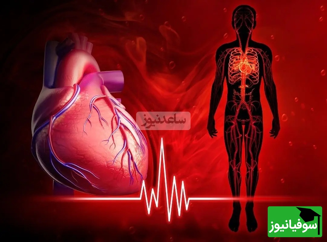 نوار قلب بدون استفاده از دستگاه الکتروگاردیو گرافی/ اثری هنری از شگفتی های علم و هنر! +ویدیو