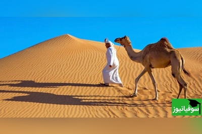 ویدیو/ چرا گفته‌اند: «می‌فرستمت جایی که عرب نی انداخت»؟