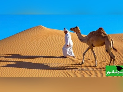 ویدیو/ چرا گفته‌اند: «می‌فرستمت جایی که عرب نی انداخت»؟