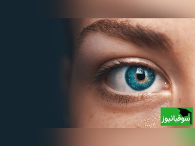 (ویدئو) اسرار وحشتناک بدن انسان/ چرا مغز چشم‌هایمان را از سیستم ایمنی بدن مخفی می‌کند؟