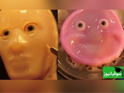 (ویدئو) دستاورد جدید دانشمندان ژاپنی /چهره‌های واقعی‌تر ربات‌ها با پوست زنده!