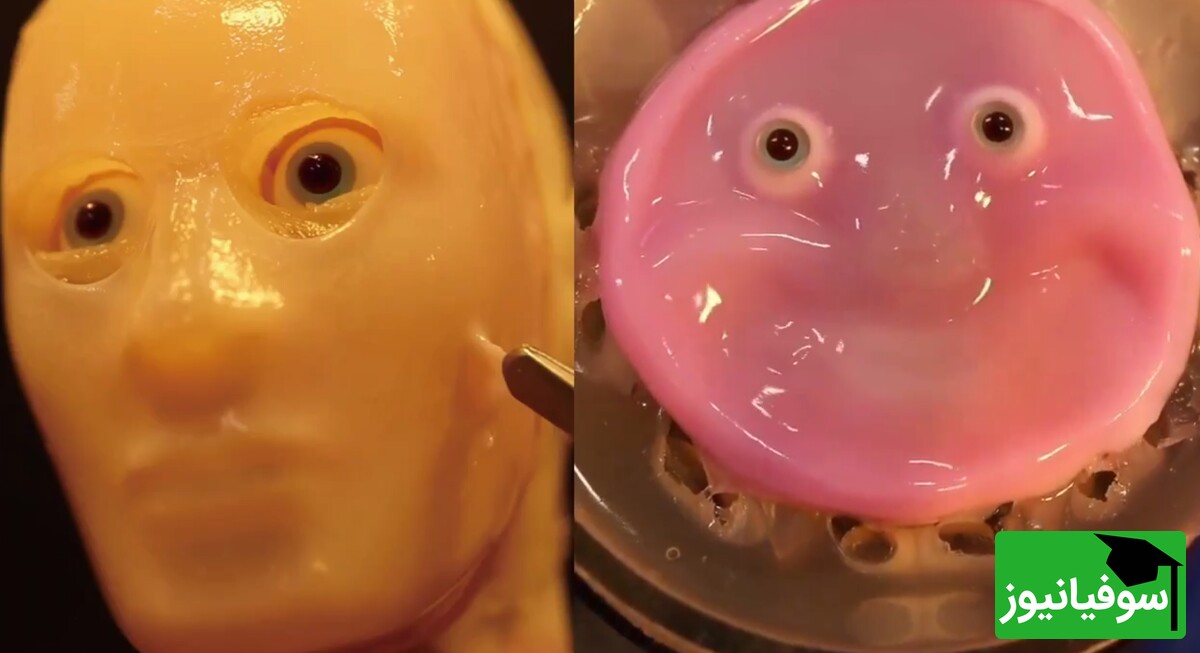 (ویدئو) دستاورد جدید دانشمندان ژاپنی /چهره‌های واقعی‌تر ربات‌ها با پوست زنده!