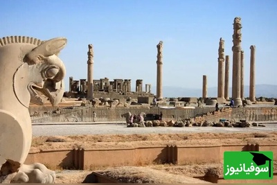 (عکس) تخت جمشید، نمادی از تمدن کهن و توجه به حقوق حیوانات / تغییر در روش بستن طناب به گاو برای اذیت نشدن حیوان