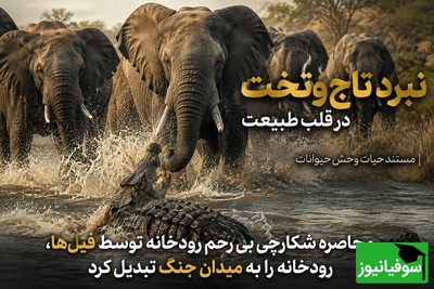 راز بقا؛ مستند حیات وحش حیوانات/ محاصره شکارچی بی‌رحم رودخانه توسط فیل ها، رودخانه‌ را به میدان جنگ تبدیل کرد