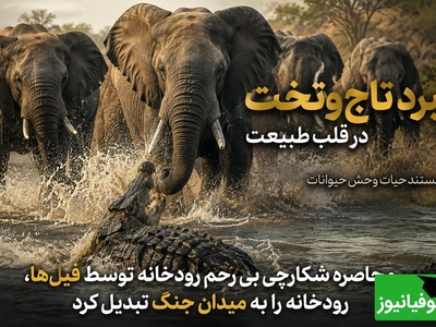 راز بقا؛ مستند حیات وحش حیوانات/ محاصره شکارچی بی‌رحم رودخانه توسط فیل ها، رودخانه‌ را به میدان جنگ تبدیل کرد