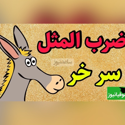 نگاهی به ضرب‌المثل جذاب و خواندنی/ اصطلاح سر خر از کجا آمده؟ الحق که به جا بود+ ویدئو