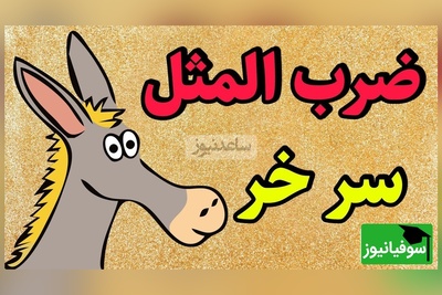 نگاهی به ضرب‌المثل جذاب و خواندنی/ اصطلاح سر خر از کجا آمده؟ الحق که به جا بود+ ویدئو