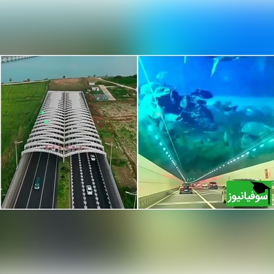 (ویدئو) غیب شدن ناگهانی ماشین‌ها در چین! معمای تونل دریاچه دوشو چیست؟