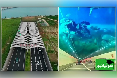 (ویدئو) غیب شدن ناگهانی ماشین‌ها در چین! معمای تونل دریاچه دوشو چیست؟