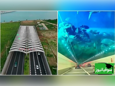 (ویدئو) غیب شدن ناگهانی ماشین‌ها در چین! معمای تونل دریاچه دوشو چیست؟