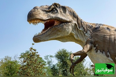 (تصاویر) راز 233 میلیون ساله زمین فاش شد/ قدیمی‌ترین دایناسور جهان از دل خاک برزیل بیرون آمد