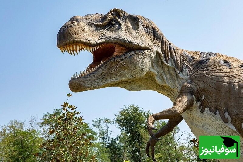 (تصاویر) راز 233 میلیون ساله زمین فاش شد/ قدیمی‌ترین دایناسور جهان از دل خاک برزیل بیرون آمد