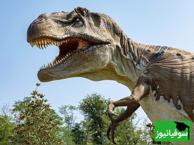 (تصاویر) راز 233 میلیون ساله زمین فاش شد/ قدیمی‌ترین دایناسور جهان از دل خاک برزیل بیرون آمد