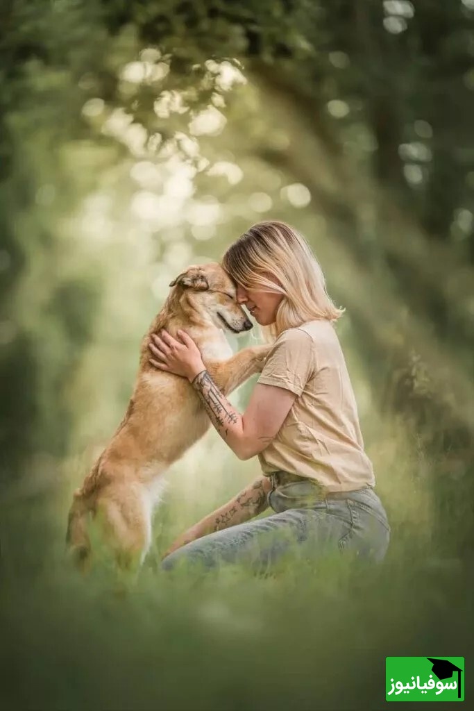 تماشای شگفت‌انگیزترین تصاویر برندگان مسابقه عکاسی سگ‌ها 2024؛ از همراهی با انسان‌ها تا پرتره‌های استودیویی