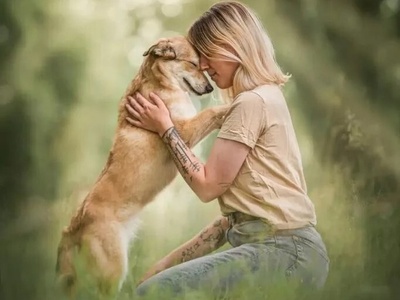 تماشای شگفت‌انگیزترین تصاویر برندگان مسابقه عکاسی سگ‌ها 2024؛ از همراهی با انسان‌ها تا پرتره‌های استودیویی