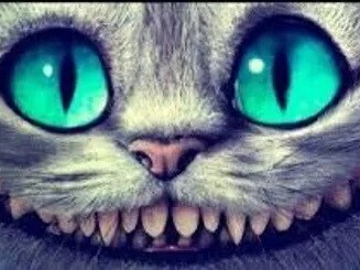 ویدئو/ یادگیری زبان انگلیسی با انیمیشن «آلیس در سرزمین عجایب و گربۀ جادویی»/ زیرنویس فارسی و آموزش مکالمات پرکاربرد