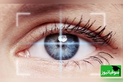 پژوهشگران دانشگاه تهران روش جدیدی برای ترمیم زخم قرنیه ابداع کردند
