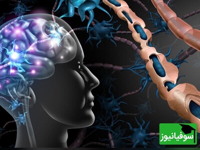 (ویدئو) با این راهکارها بیماری ام اس را رام کنید