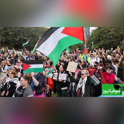 اعلام آمادگی دانشگاه تربیت مدرس برای پذیرش اساتید و دانشجویان اخراجی حامی فلسطین