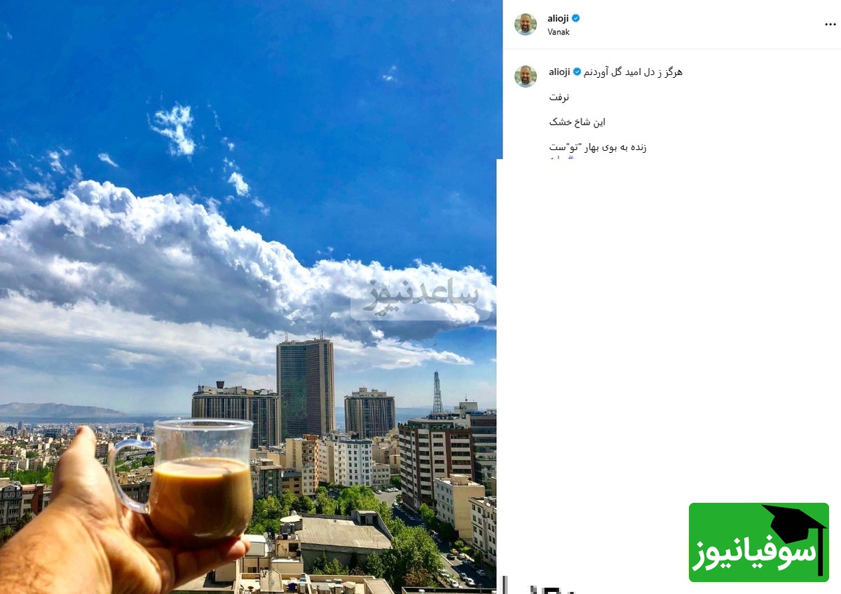 چیدمان منزل علی اوجی و نرگس محمدی