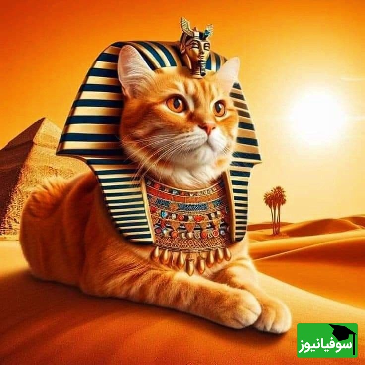 خطای دید/ اگه چشمات، چشمای عقابو 100 هیچ شکست داده، کمتر از 5 ثانیه گربه چهارم رو پیدا کن!