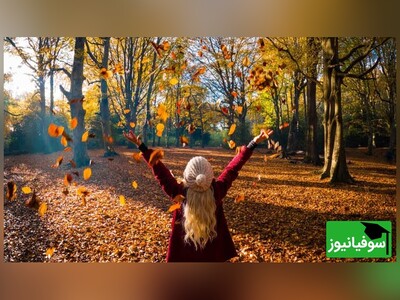 ویدیو/ پاییز و ممنوعیت خواب بعدازظهر