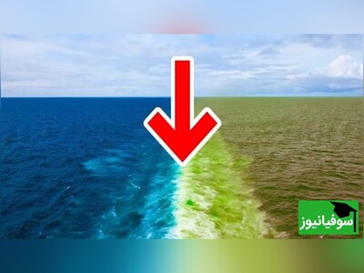 (ویدئو) چرا آب اقیانوس‌ها با یکدیگر مخلوط نمی‌شوند