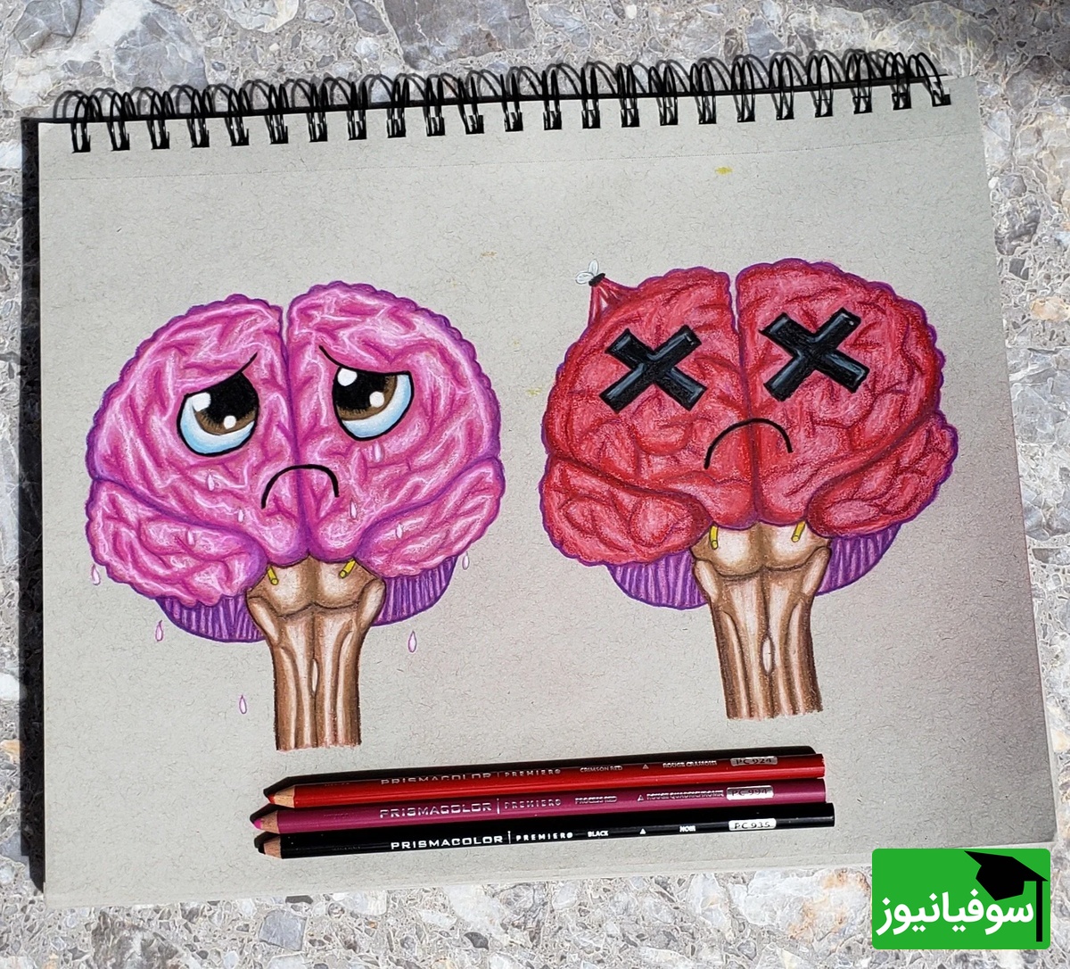 (ویدیو) «طنز دانشجویی روز»؛ ذهن دانشجوها سر امتحان واقعاً این شکلیه؟! 🤣